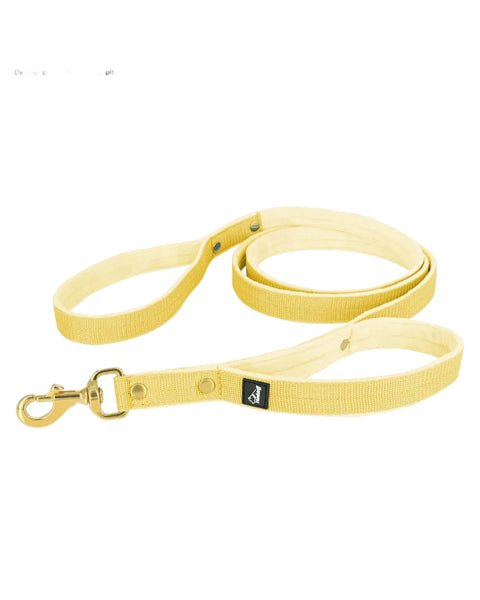 Imported Yellow Dog Leash for Dogs & Puppies