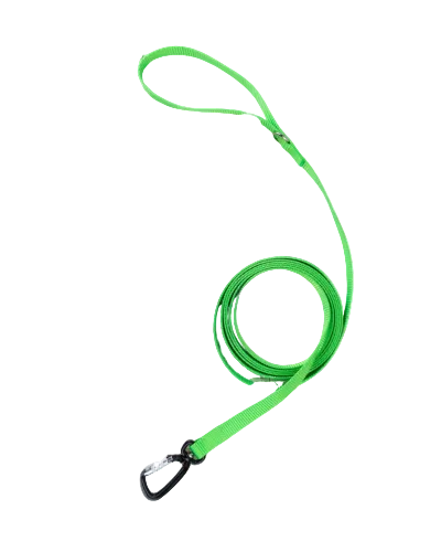 leash small
