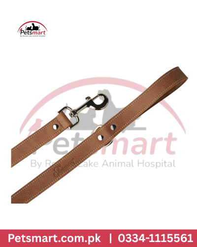 Leather leash