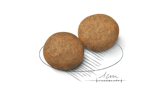 Royal Canin Medium Breed Adult Dry Dog Food