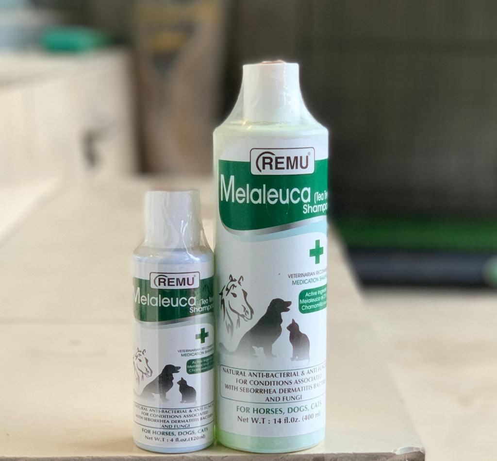 Melaleuca tea tree shampoo 500ml