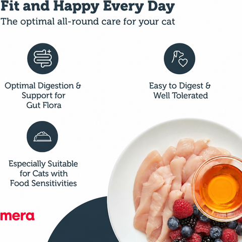 Mera Finest Fit Kitten food benefits for digestion growth and gut flora support