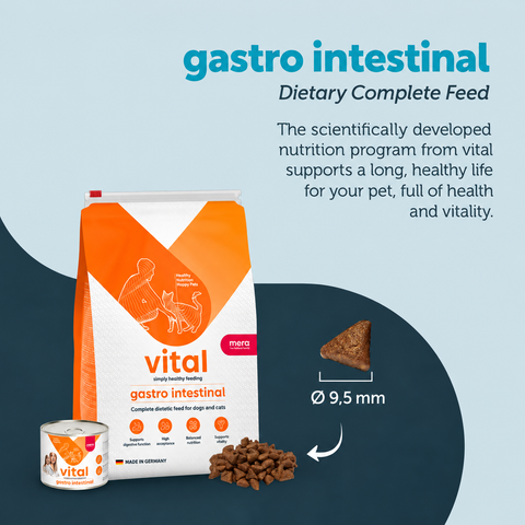 Mera Vital Gastro Intestinal 3kg daily feeding recommendation for adult cats