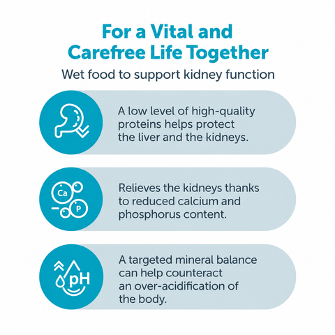 Mera Vital Renal wet dog food benefits for kidney support and digestion