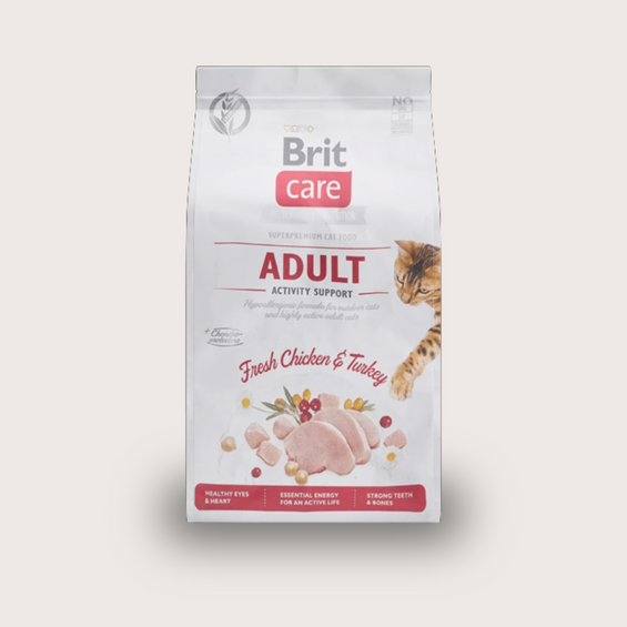 Chicken Flavor Food Container