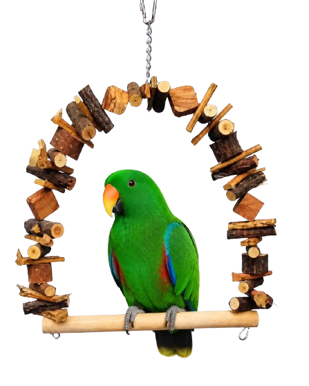Natural Wooden Bird Swing 27 40Cm