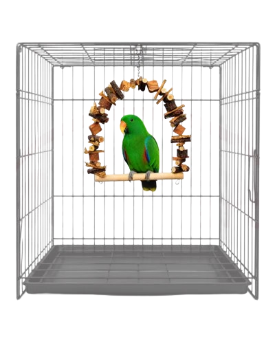 Natural Wooden Bird Swing 27 40Cm