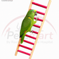 A green Amazon parrot perched on a wooden ladder toy with bright pink-red horizontal bars, shown on a white background with Petsmart branding and a contact banner.