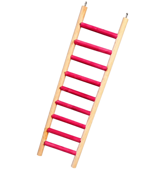 Nine step hanging bird ladder measuring 12 by 42cm for climbing and perching