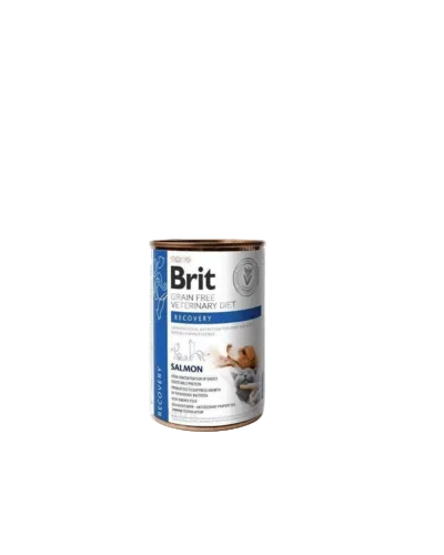 Brit salmon recovery can food