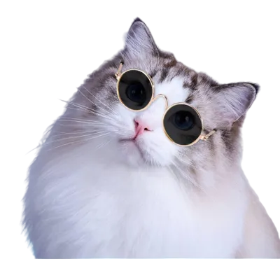 Pet glasses fashion eyewear accessory for cats and dogs