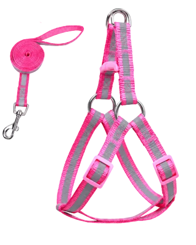 Pink adjustable step-in dog harness with matching leash and metal clip
