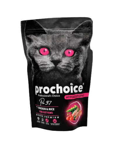 ProChoice Pro 37 Chicken and Rice dry cat food 330g for kittens