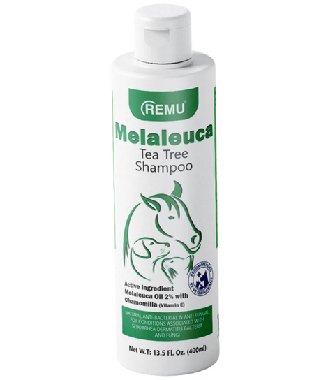 Remu Melaleuca Tea Tree Shampoo 400ml with 2 percent tea tree oil for pet skin care