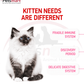 Royal Canin Kitten nutrition for kittens during the second growth stage