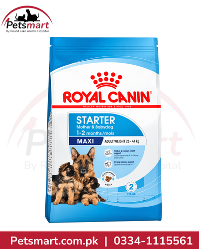 Royal Canin Maxi Starter Mother & Babydog Large Breed Dog Food ��ï