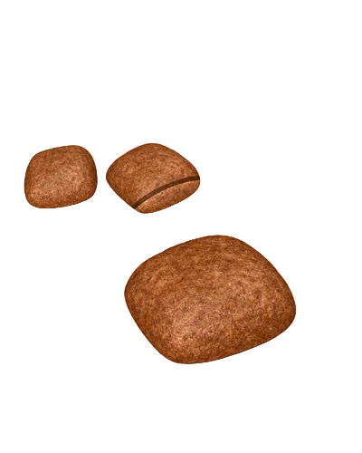 Royal Canin Urinary Care adapted dry cat food kibble