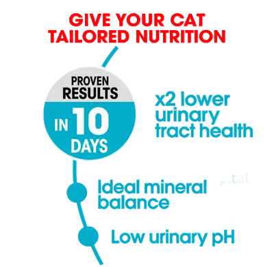 Promotional graphic for Petsmart cat nutrition, featuring the Petsmart logo, the headline 'GIVE YOUR CAT TAILORED NUTRITION,' and several benefit claims in blue and red text on a white background with a faint watermark.