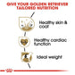 Royal Canin Golden Retriever Adult Dog Food 12kg