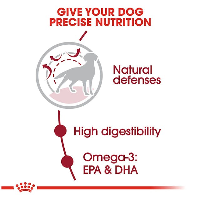 Royal Canin Medium Breed Adult Dry Dog Food