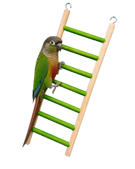 Seven Step Hanging Wooden Bird Ladder 10 5 33Cm