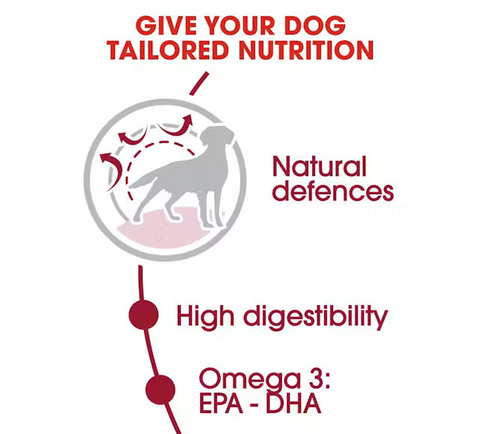 Royal Canin Medium Adult Dry Dog Food 4Kg