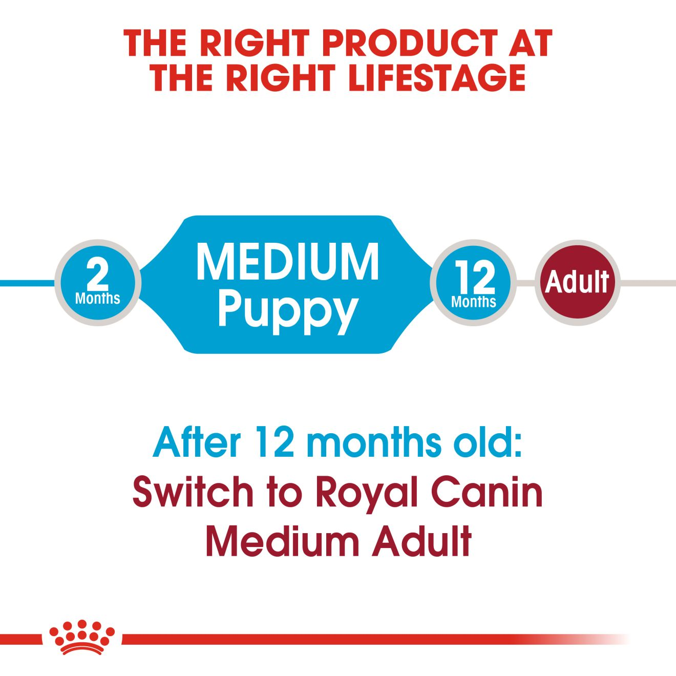 Royalcanin Medium Puppy Food