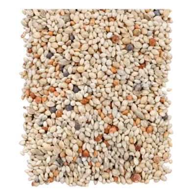 Close-up of mixed bird seeds for sparrows finches Gouldian and Bengalese birds