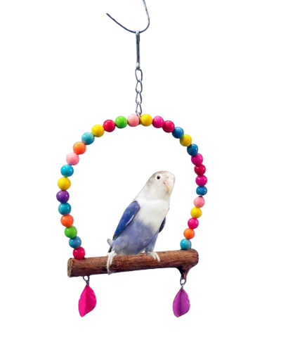 Small Hanging Bird Swing With Colourful Beads Wooden Perch