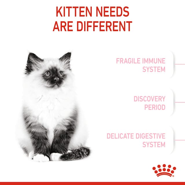 Royal Canin Kitten Dry Food