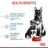 Royal Canin Maxi Starter Mother Babydog Large Breed Dog Food 15Kg