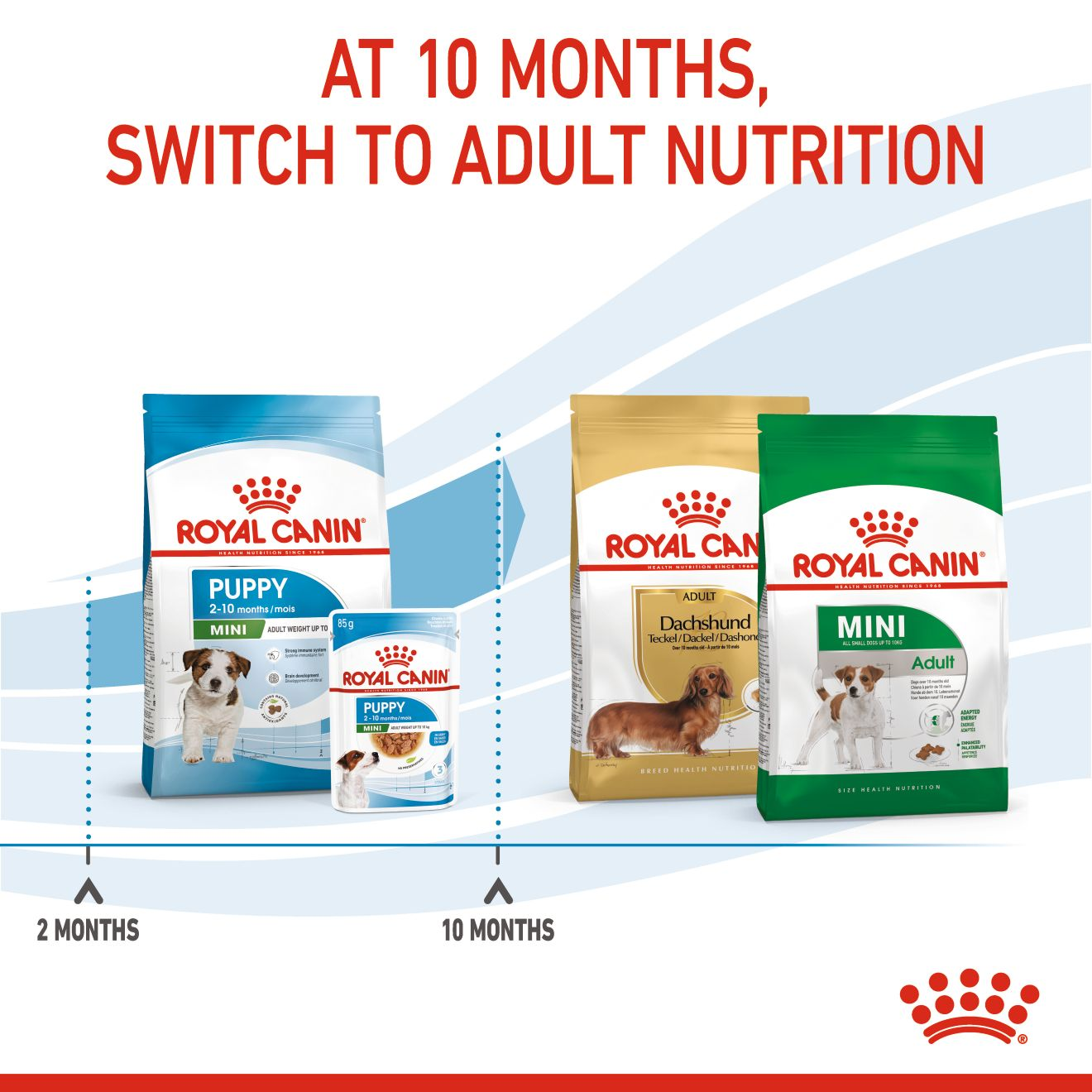 Royal Canin Mini Puppy Dry Food 4KG