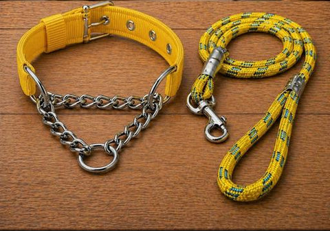 Puppy Choke Leash With Collar