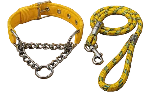 Puppy Choke Leash With Collar